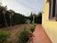 Immagine 24