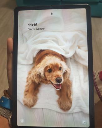 Galaxy Tab S6 lite