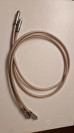 Cavo QED Signature Audio 40