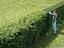 Immagine 4