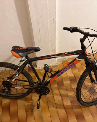 Bici MTB