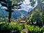 Immagine 20