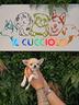 cuccioli-di-chihuahua