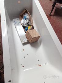 Vasca da bagno Ideal Standard nuova 79x179