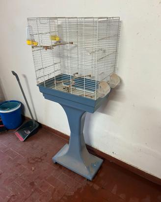 gabbia per canarini pappagalli uccelli