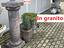 Immagine 11