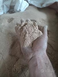 segatura molto fine 