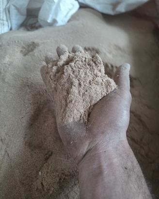 segatura molto fine 