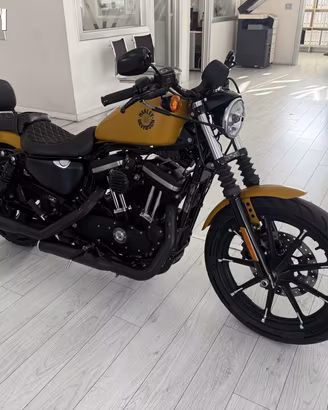 Harley Davidson Iron 883 2019