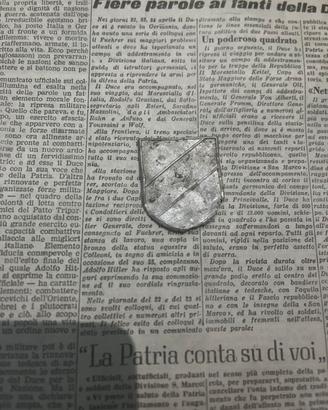 Militaria scudetto tedesco (1)