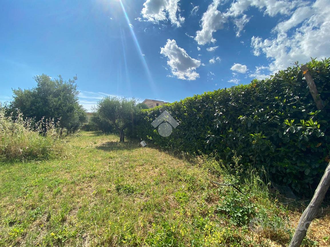 TERRENO A ALBANO LAZIALE - Vista 4