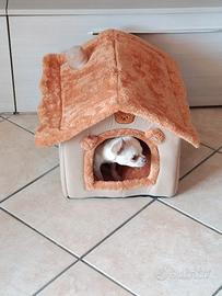 Splendido maschietto solo per monta