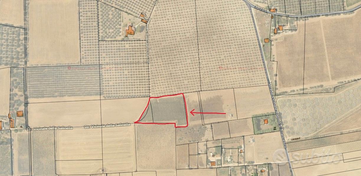 Terreno agricolo con Vigneto a spalliera - Taranto - Vista 3