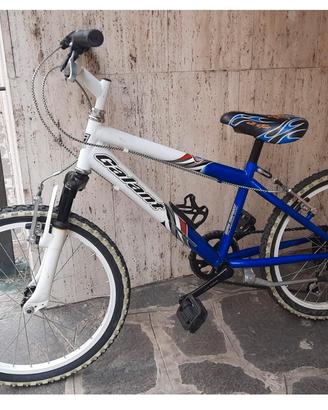 Bicicletta ragazzi