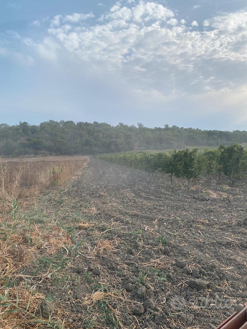 Terreno agricolo con impianto - Vista 3