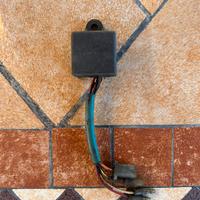 Centralina scarabeo 100