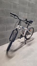 Bicicletta bimbo elementari