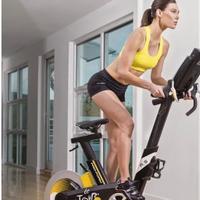 Bici spinning bike pro form tour de france 
