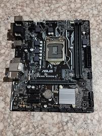 Scheda madre Asus Prime b250m-k