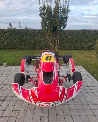 Telaio kart Birel S14