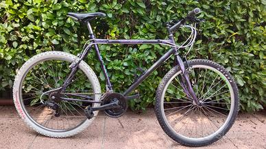 bici da stazione Aurora