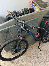 bicicletta