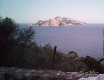 Terreno a Punta Campanella,panorama mozzafiato