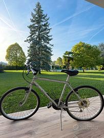 Mountain Bike MTB Roveco 26" argento
