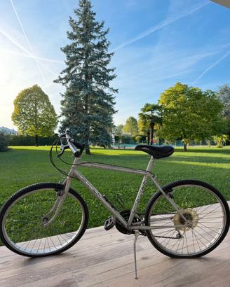 Mountain Bike MTB Roveco 26" argento