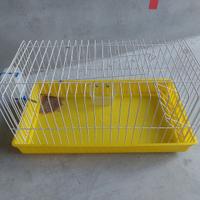 Gabbia coniglio nano