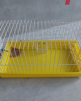 Gabbia coniglio nano