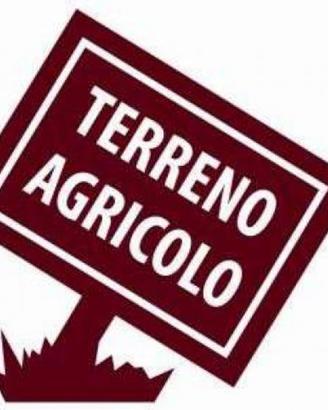 Terreno agricolo 4 biolche Commessaggio (MN)