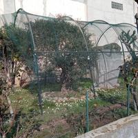 Supporti ad arco 