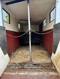 Van Trasporto Cavalli