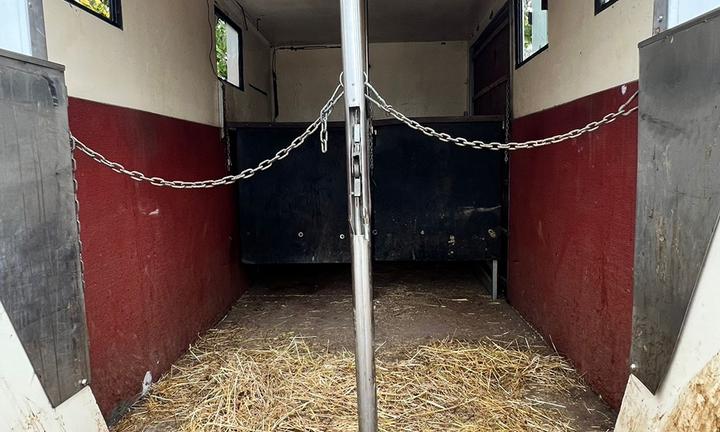 Van Trasporto Cavalli