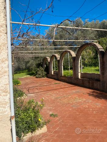 Zona La Landrigga ampio terreno-uliveto con Casale