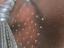 Immagine 4