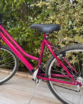 Bicicletta