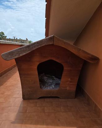 cuccia