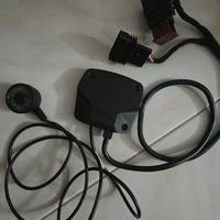 Modulo agiuntivo 