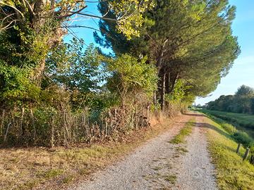 Terreno agricolo 27.200 mq a Codiverno