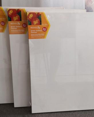 3 Tele Reeves 50x70x4 Deep Edge Nuove