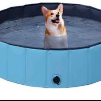 piscina per cani. 