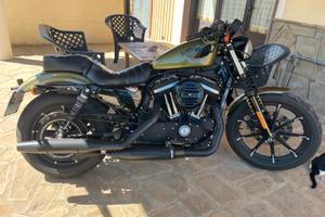 Harley Davidson 883 iron