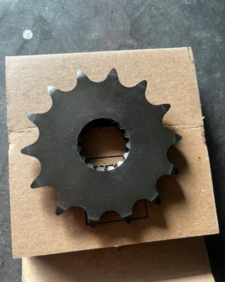 Pignone 14 denti Beta 125 RR racing 2 T