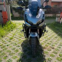 HONDA ADV350 anno luglio 2023