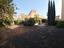 Immagine 12