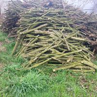 Legna disponibile