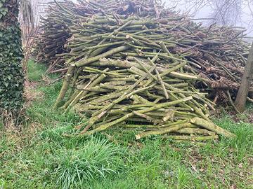 Legna disponibile