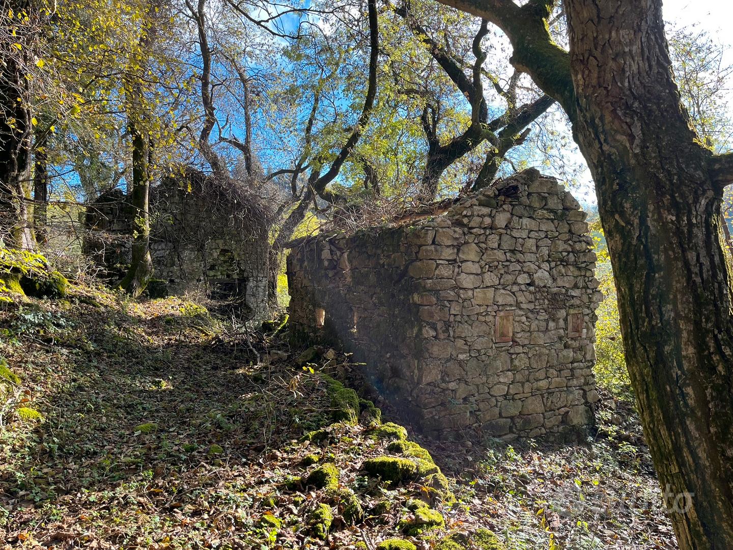 Terreno con bosco e case - Altro